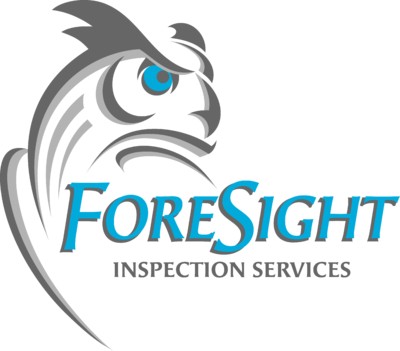 Amey, Christopher D Foresight Inspection Services, LLC Home Inspector Profile Picture