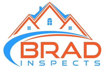 Neumann, Brad Brad Inspects Home Inspector Profile Picture