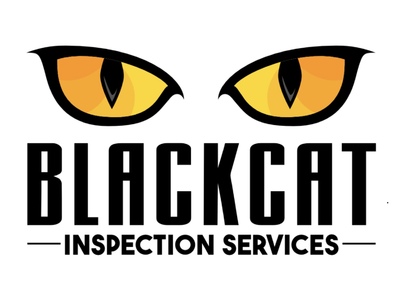 Simmons, Doug Black Cat Inspection Services Home Inspector Profile Picture