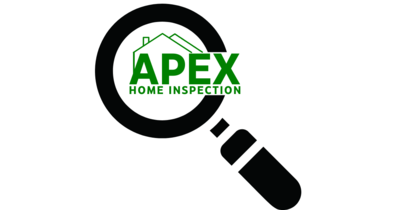 Taylor, Travis Apex Home Inspection Home Inspector Profile Picture